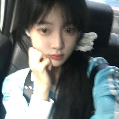 摇滚藏獒：乘风破浪